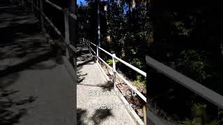 【宮崎】西都市の速川神社への道のりが登山だった件#shorts