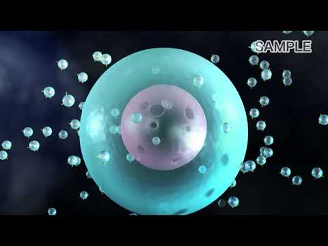 ファイトウイルスについて詳しく解説