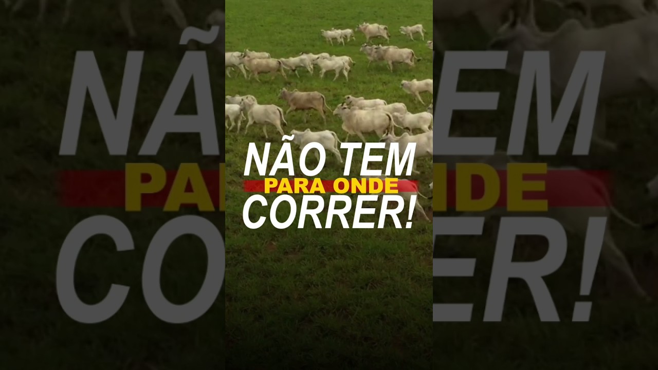 NÃO TEM PARA ONDE CORRER!