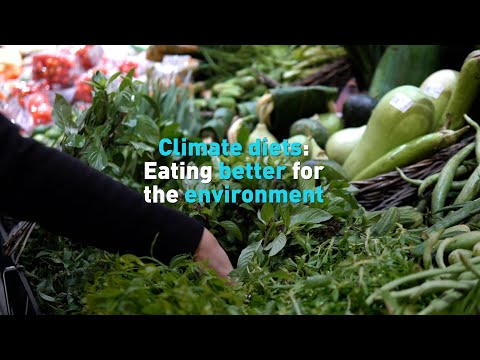 Climate diet  Cutting back on what you eat can cut back your carbon footprint