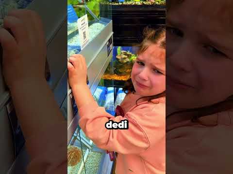 Kaybettiği kuşu buldu ama kimse inanmadı ❤️