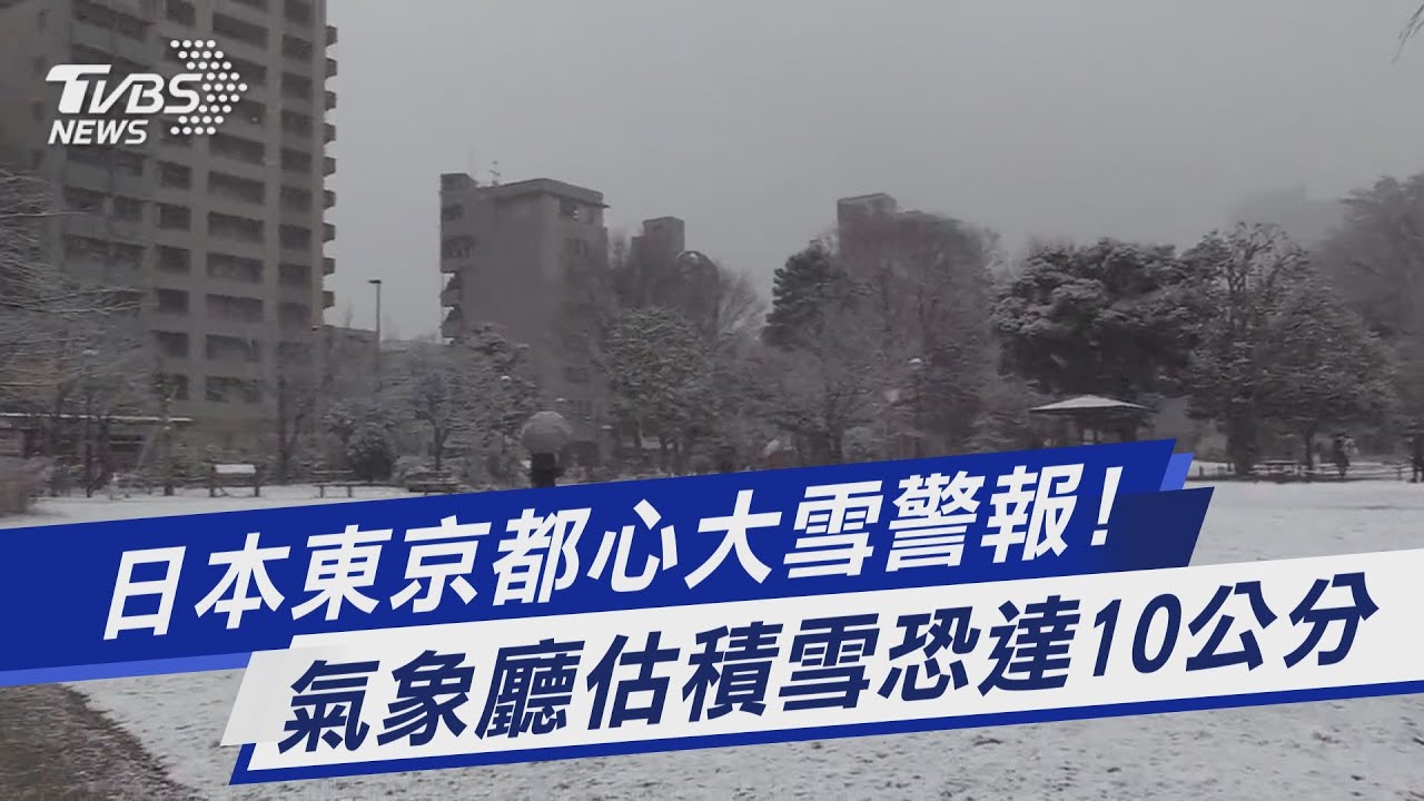 有片/東京睽違四年降大雪 積雪估計深達十公分