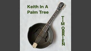 Keith In A Palm Tree
