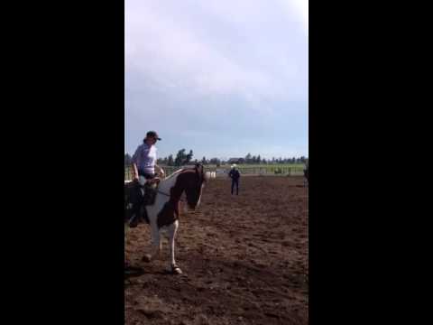 Charlie- les vogt clinic video