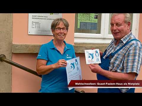 DIE HAMS vom 07.10.2018