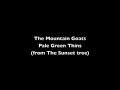 The Mountain Goats - Pale Green Things