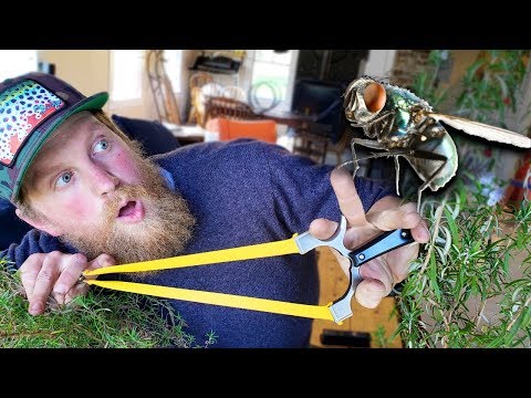 Fly Hunting With A Slingshot GZK  G-Shot | Trick Shot Tuesday Ep. #7