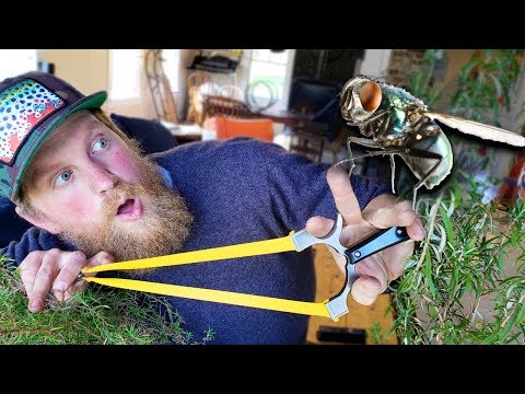 Fly Hunting With A Slingshot GZK  G-Shot | Trick Shot Tuesday Ep. #7 Video