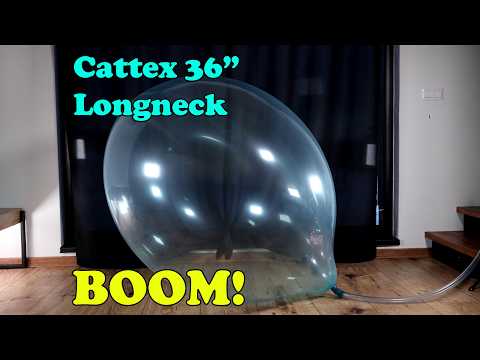 Blue balloons special 2/6 | BTP | How big can a balloon get?