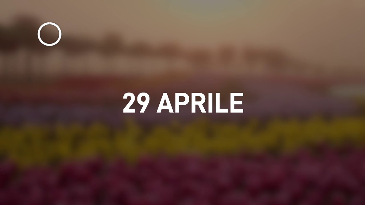 29 Aprile 2024 | Meditazione Parole di Vita