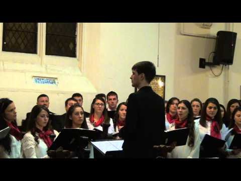 "Din Glorii in Glorii" Corul Bisericii Betel Dublin