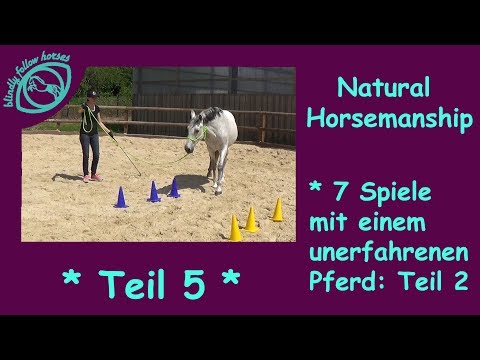 7 Spiele nach Parelli mit einem unerfahrenen Pferd ! Natural Horsemanship Reihe *** Teil 5 ***