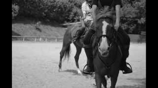 Goodbye my dear horse, i will always love you.❤