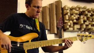 Video thumbnail for Nordy NP5 pickup Demo - Also Nordy vP5 Bass by Nordstrand Audio