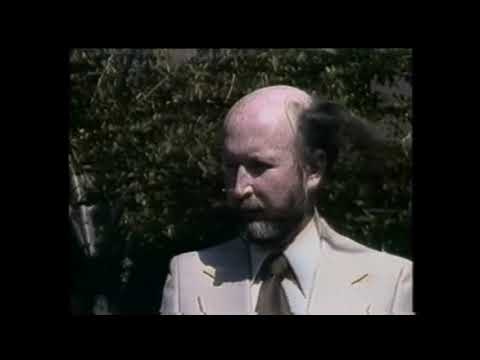 A comb over or combover? Heir today gone tomorrow Wig