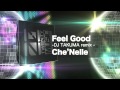 Feel Good DJ TAKUMA Remix Che Nelle
