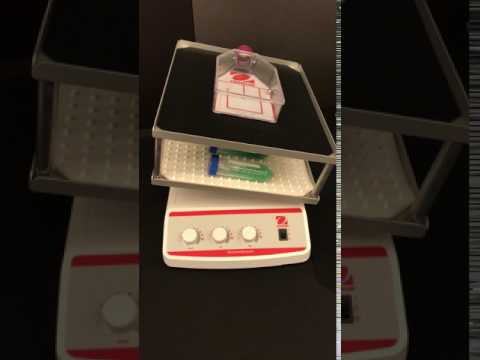 Prezentacja wytrząsarki OHAUS