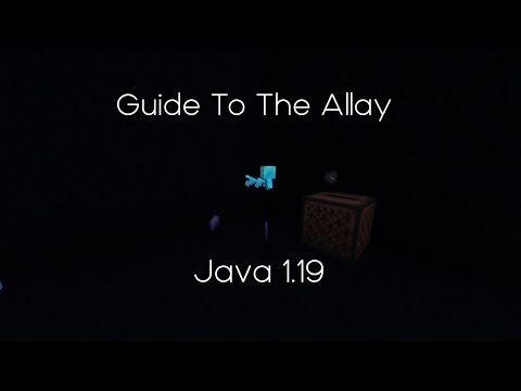 Everything You Need to Know about the allay in 2 mins or less