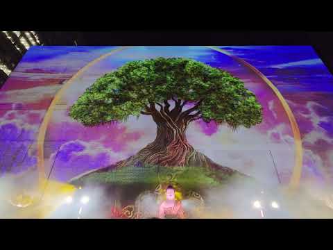 'The Light' Animated Bodhi Tree Show | Buddha’s Enlightenment | Buddha’s Day Festival at Melbourne