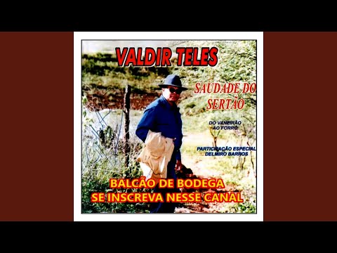 Minha vida de vaqueiro - VALDIR TELES
