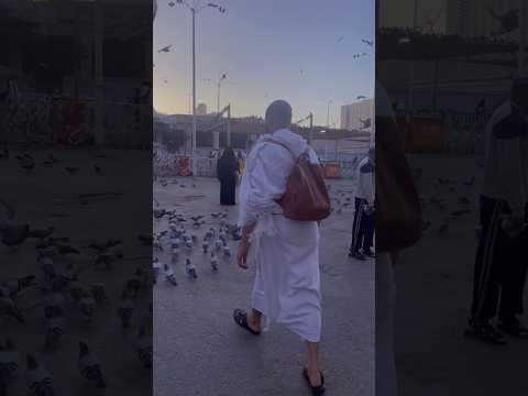 #performumrah #makahlive #khanakaba #religion #makkahlivenow #minivlog #madinahlive #madina