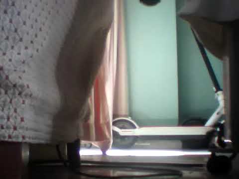 Romance gata y patin