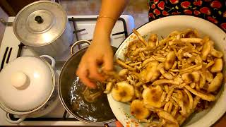 как я мариную опята