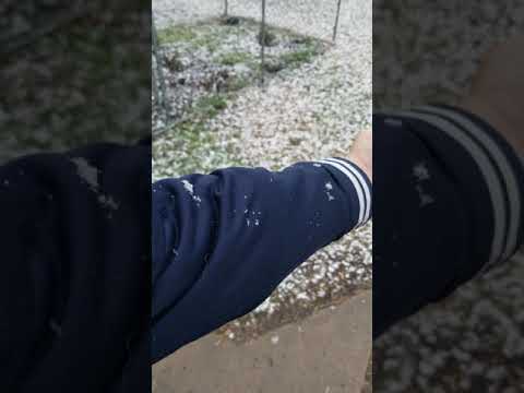Snowing in Larned KS big flakes