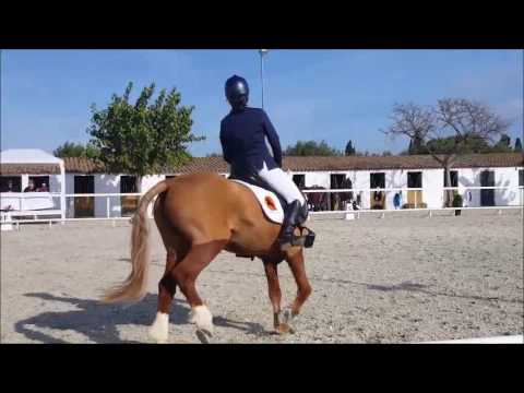 CLARA & CUCA DOMA CAMPIONAT CATALUNYA CCE 2016 PONIS C1