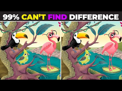 Spot The Difference : Can You Find Them All? #3d