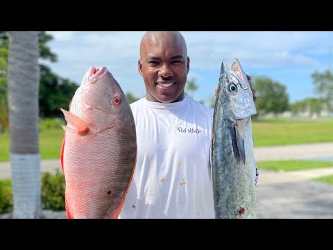 TOP Reef PREDATORS, CAPTURED and EATEN! Catch Clean Cook (Offshore Fishing)