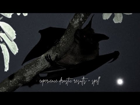 ╭ EXPERIENCE DRASTIC RESULTS + SPELL  — nighttime booster w/ black screen ╮