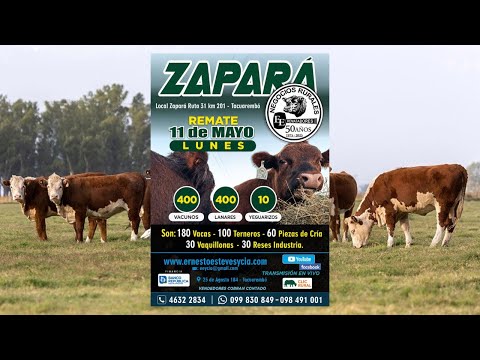 Remata Ernesto Esteves y Cia - Local Zapará Tacuarembó- 11 de Mayo de 2026