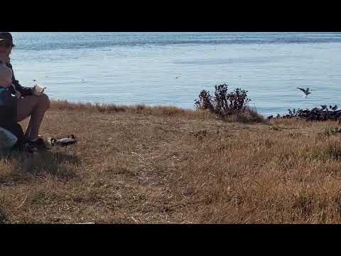 When we fly the kite, we know that freedom exists. Widad al Ghoul,
