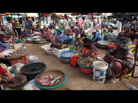 Morning Countryside Food Market @Kampong Thom - Morning Activities of Vendors in Phsa Kampong Thmor