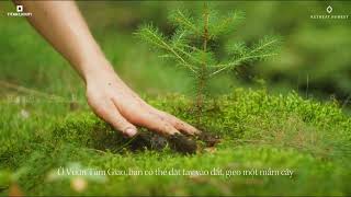 VƯỜN TÂM GIAO - RETREAT FOREST