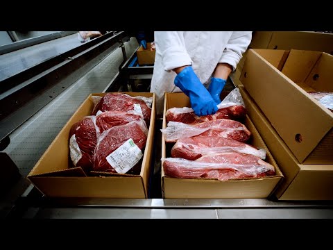 Frigor&iacute;fico Verdi produz linhas Angus e Hereford com certifica&ccedil;&atilde;o em Pouso Redondo