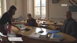 LES DESSOUS DE LA LOI, Mariage pour tous : la bataille au Sénat