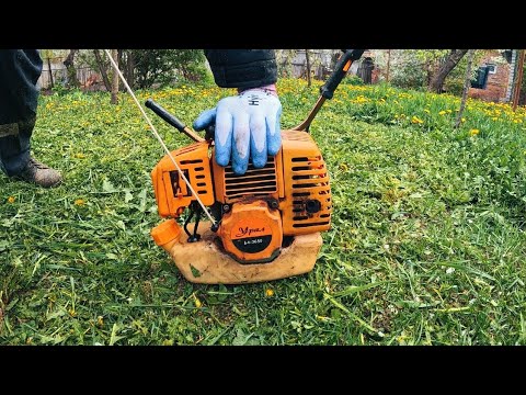 ✅ I clean and mow the grass in the yard POV