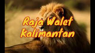 Download lagu suara Walet Kalimantan mp3 Download lagu suara Walet Kalimantan mp3