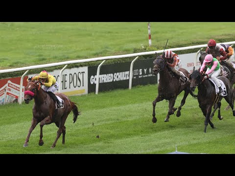 Düsseldorf: Fritz Henkel Preis 2023 Sieger: See Hector