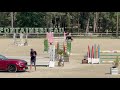 Yegua PFS Poni Fran&ccedil;&eacute;s de Silla Pr&eacute;stamo 2017 Negro por WELCOME SYMPATICO