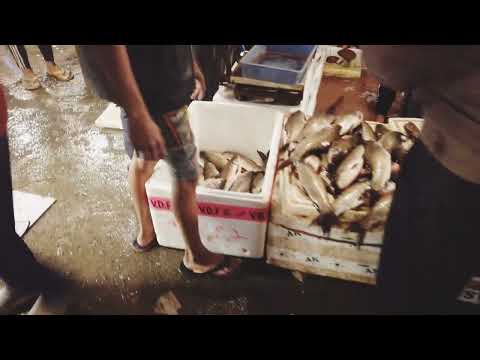 Exploring Fish & Vegetables Market|  Delhi Walk Tour