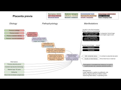 Placenta previa (mechanism of disease)