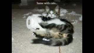 Special people (your song, John Barrowman)