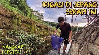 Download lagu MENCARI IKAN DI IRIGASI PERSAWAHAN DESA JEPANG ! mp3