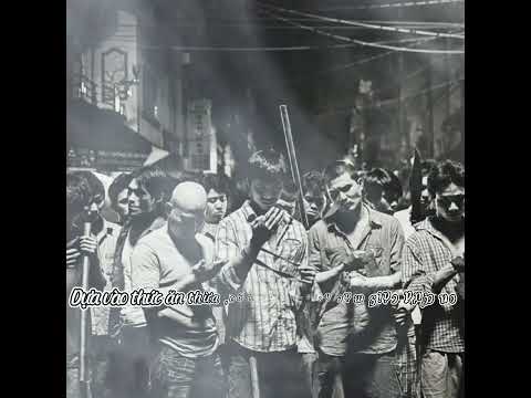 PHÚC REY - BỤI ĐỜI