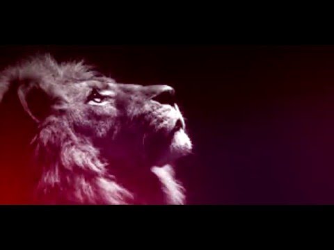 MOD3STO - Safari (Original Mix)