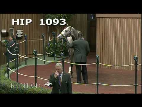 2012 November Breeding Stock Sale - Hip 1093, American Lady