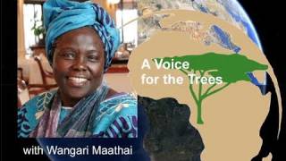 Wonder Woman of the Week: Wangari Maathai